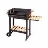 Barbacoa Carbon 2 Parrillas Con Ruedas 88x68x40cm Ldk Garden